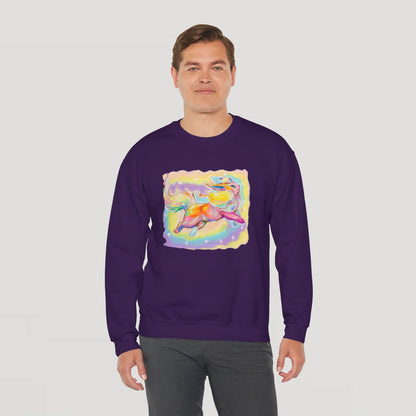 Flareonn, Sweatshirt